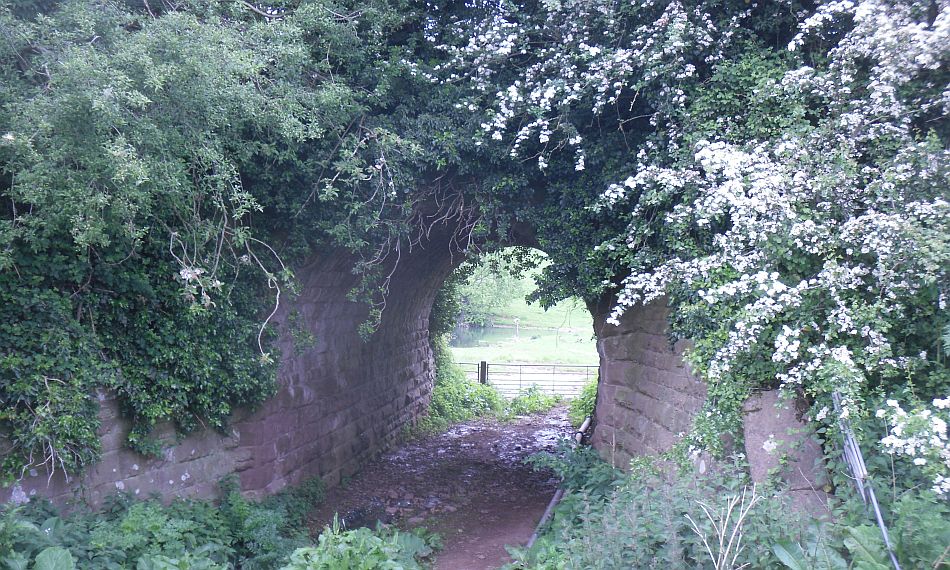 Herefordshire Railway Walks