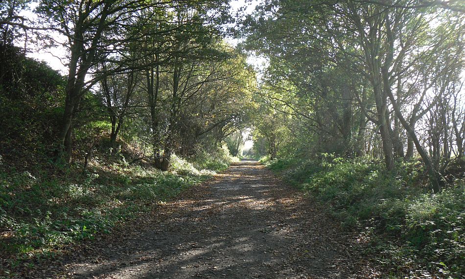 Herefordshire Railway Walks