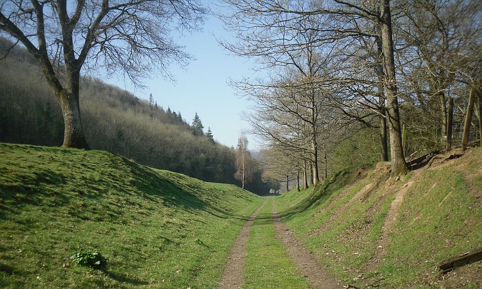 Herefordshire Railway Walks