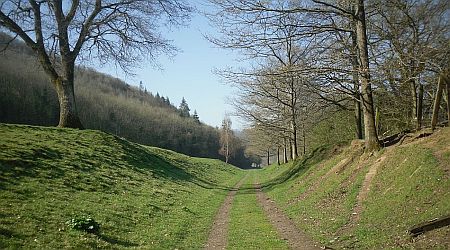 Walk Seven - Symond's Yat