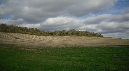 Walk Five - Sutton St. Michael and Marden 